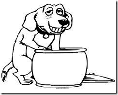 Cachorro 17