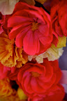 Livia Cetti of The Green Vase made these gorgeous paper flowers and used them to decorated the photo booth. Livia Cetti of The Green Vase made these gorgeous paper flowers and used them to decorated the photo booth.