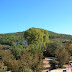 Mas Segimon. Terrassa