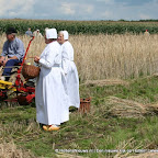 graanoogst-09-020.jpg