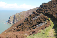 IMG_6013.JPG Photo