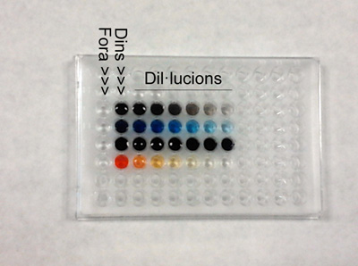 poruscondons4.jpg