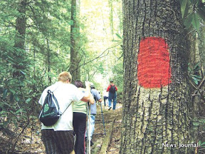 Marking the way 3x.jpg