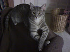 02-07-11_0819.jpg