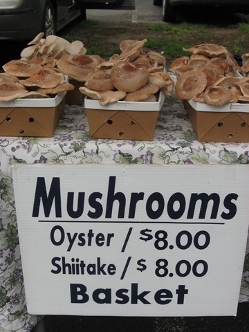 [mushrooms%255B5%255D.jpg]