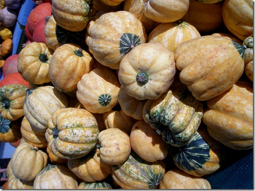 pumpkins 011