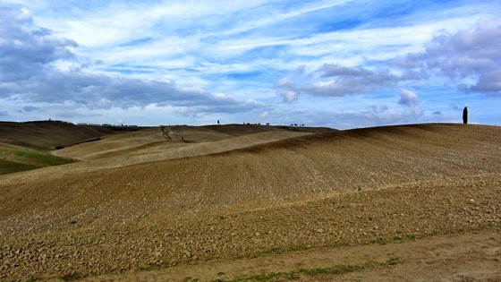 IMG_7749 IMG_7749