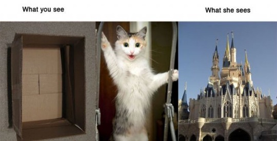 [what-you-see-animals-354b50%255B2%255D.jpg]