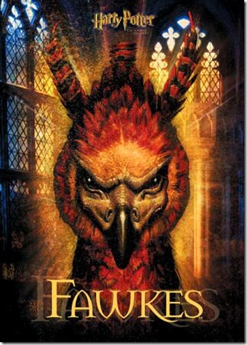 fawkes_the_phoenix