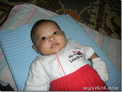 myvitrd junior 4
