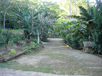 DSC05037.jpg DSC05037.jpg
