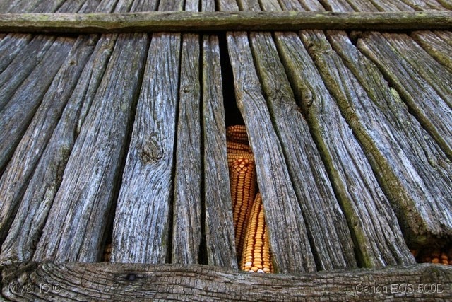 [08_Casa_dos_Martinhos_-_Espigueiro4.jpg]