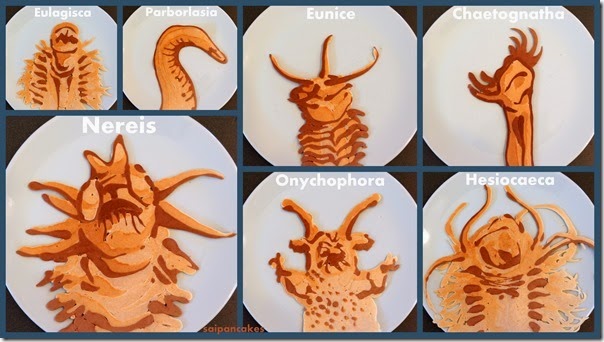 Predatory worm pancakes Predatory worm pancakes