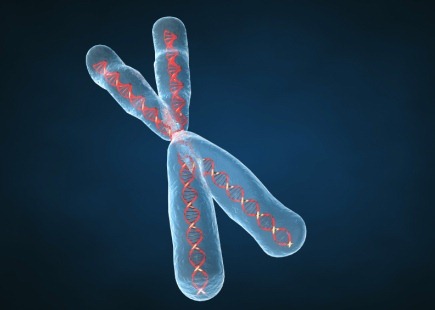 [Sindrome-di-Klinefelter-cromosoma-X%255B1%255D%255B4%255D.jpg]