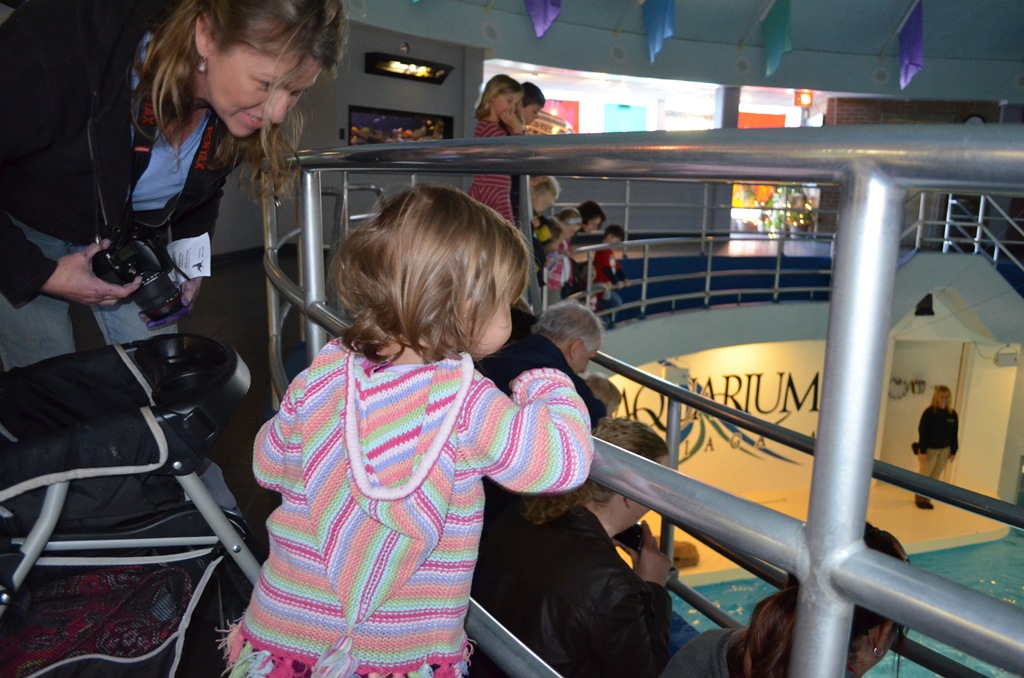 [DSC_0467%255B3%255D.jpg]