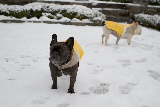 We're so happy to have the greatest clothes to wear, like these warm slickers for the snow.