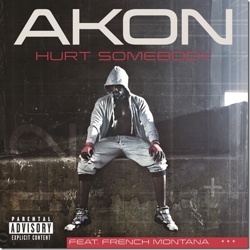 Akon - Hurt Somebody (feat. French Montana) - Single (2012)