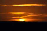 DSC_0428.JPG