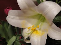 DSC03086.JPG