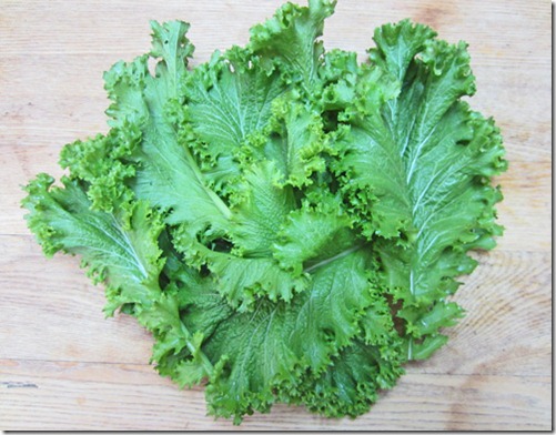 Green Wave mustard greens