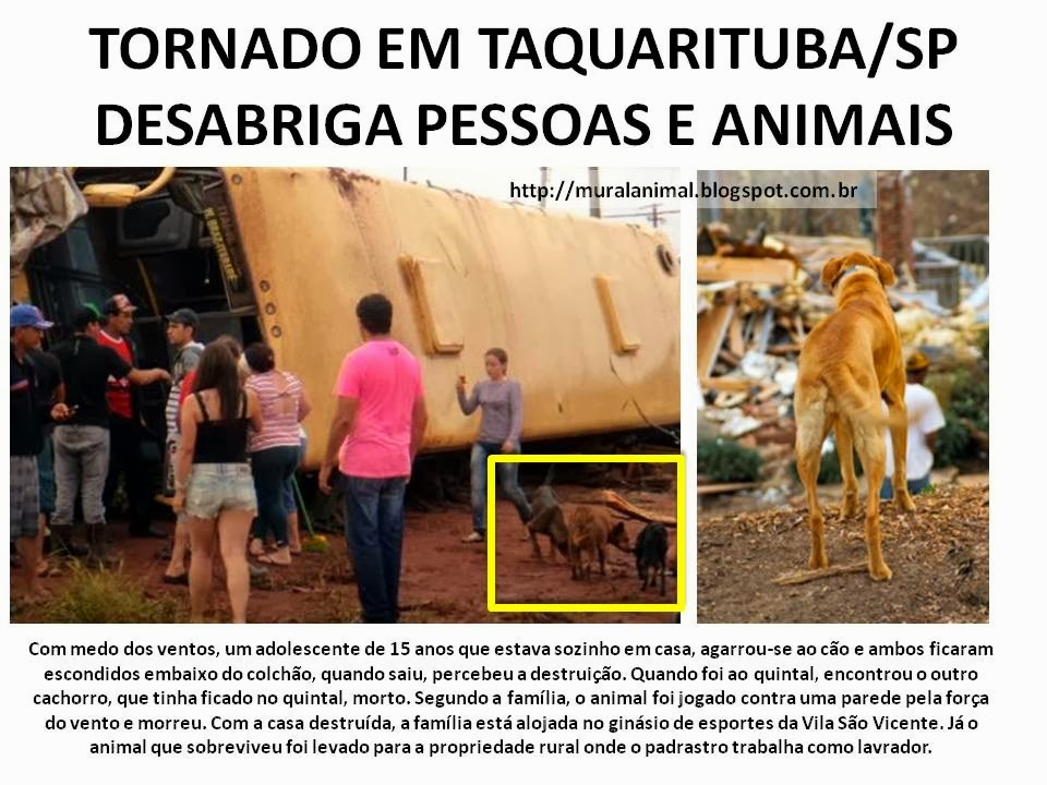 [TORNADO%2520EM%2520TAQUARITUBA%255B3%255D.jpg]