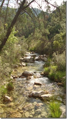 cazorla 035