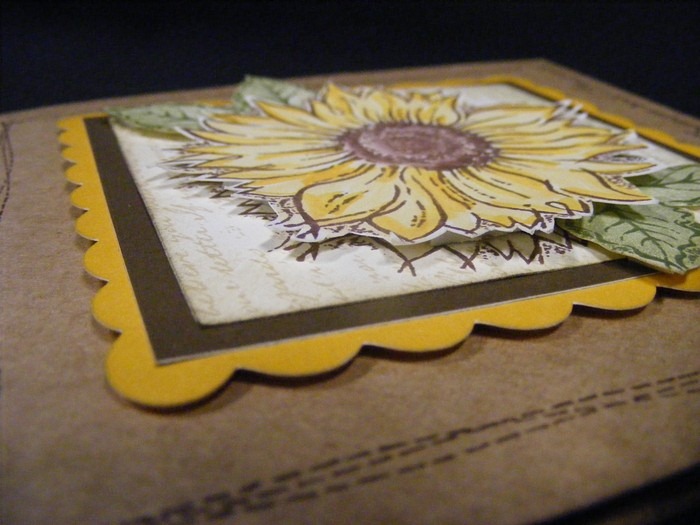 [May%25202012%2520SOTM%2520%25206x6%2520sunflower%2520card%2520close%2520up%255B4%255D.jpg]