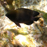 IMG_1343.JPG