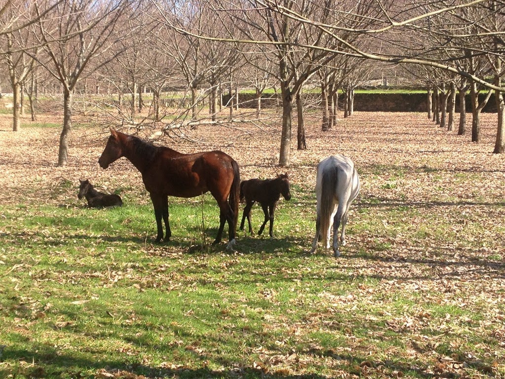 [IMG_4252%255B1%255D%255B8%255D.jpg]