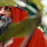 13.Waves Of Love - osho419.jpg