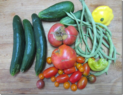 Harvest assortment