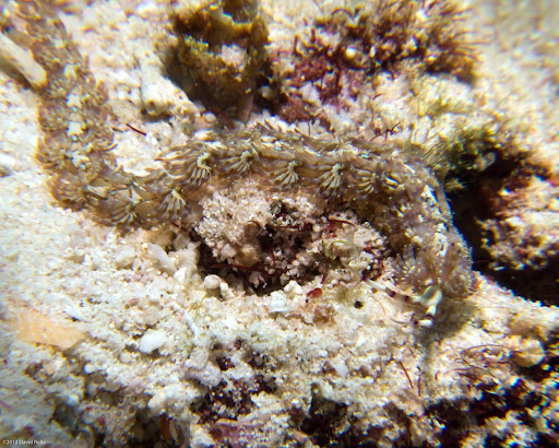 P7054745