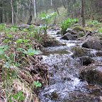 IMG_1934.jpg