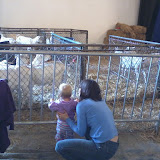 IMG_20111022_132306.jpg