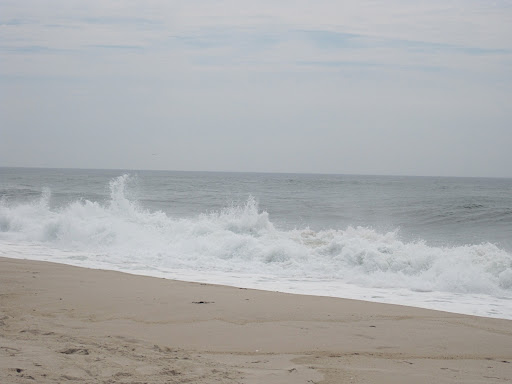 Scenery shot #3.