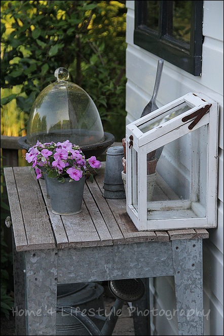 Home & Lifestyle Home & Lifestyle