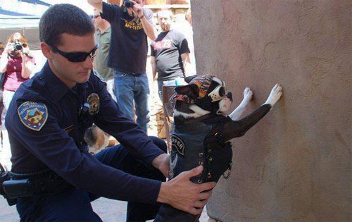 [tumblr_lvqre0HNoq1r4jjeso1_500%255B5%255D.jpg]