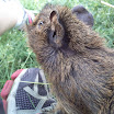 IMG219.jpg