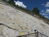 More dinosaur footprints.
