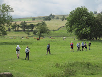 Wonderful countryside