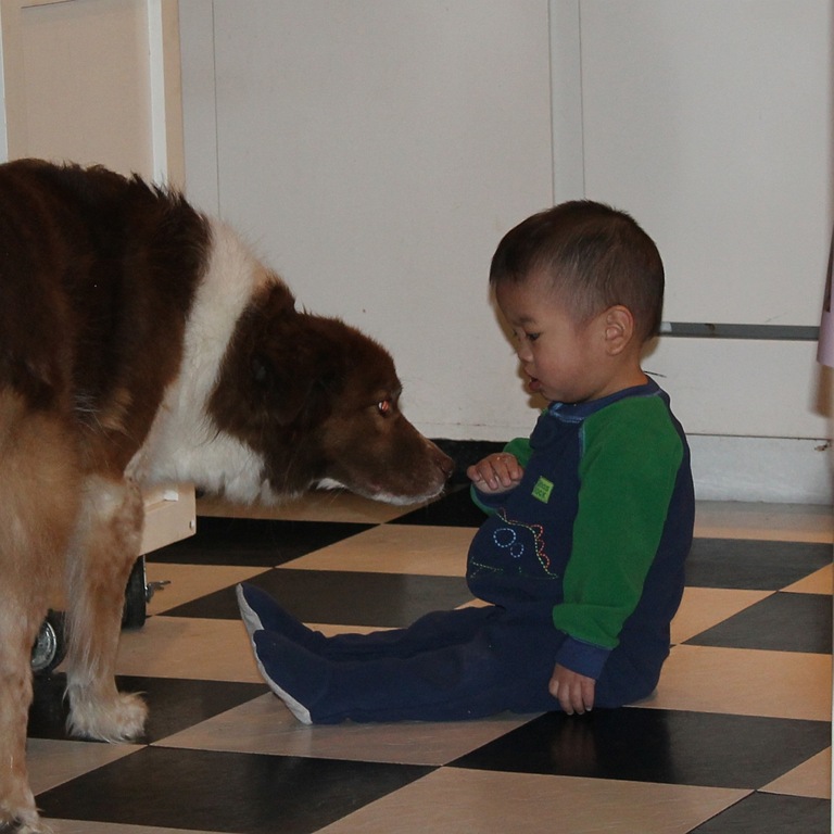 [dog%255B4%255D.jpg]