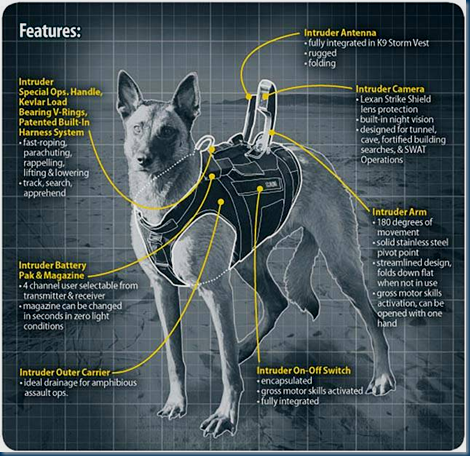 K9 Intruder Tactical Assault Suits