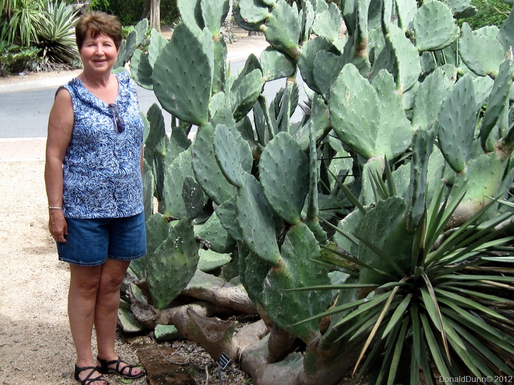 [IMG_3196B%255B6%255D.jpg]