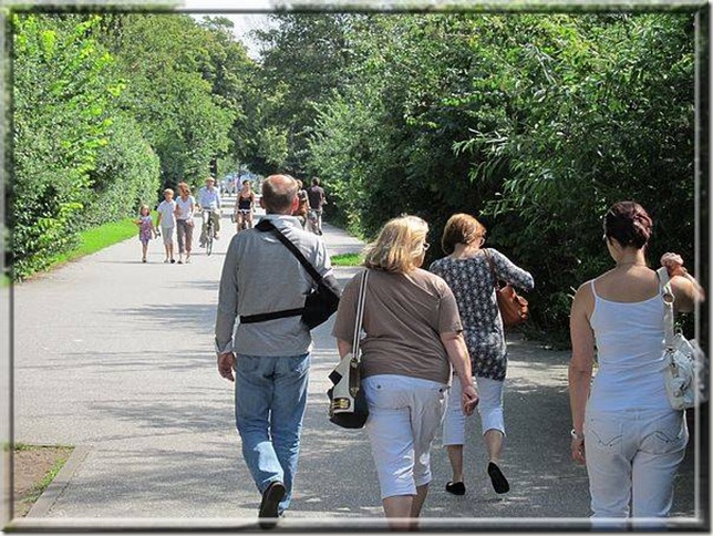 Elbspaziergang Elbspaziergang