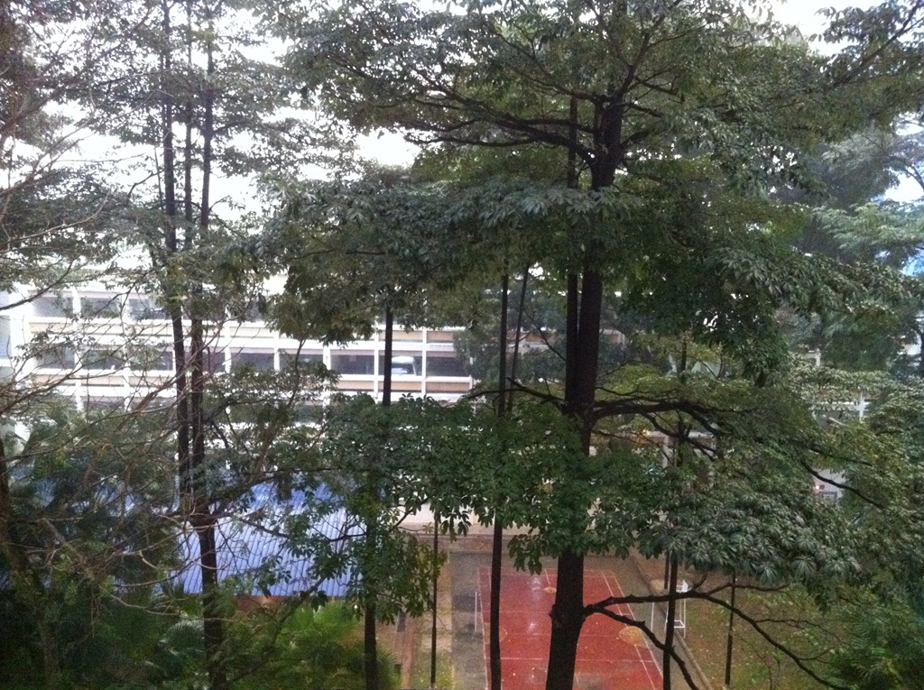 [IMG_6111%255B3%255D.jpg]