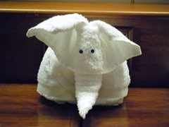 SAM_0054 SAM_0054