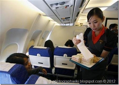 photograph wiki ladyboy flight attendants air hostess 14
