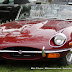 Motorcarsinc.com 1175.jpg