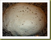 Pane con pasta madre ai semi misti e olio extravergine d'oliva (6)