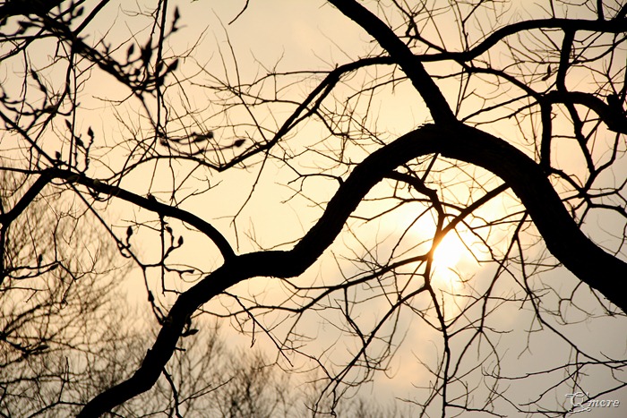IMG_8480 IMG_8480